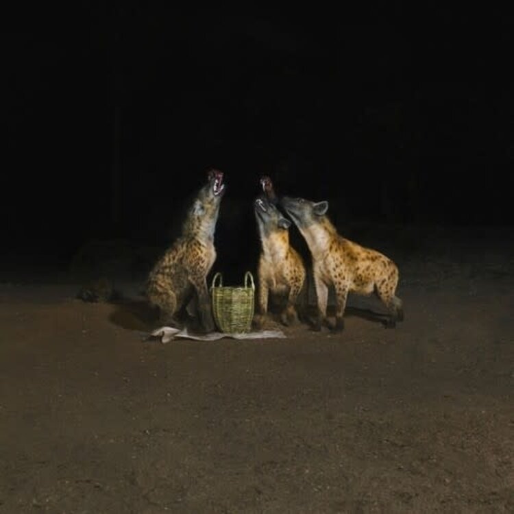 Years of Denial - Suicide Disco 2LP