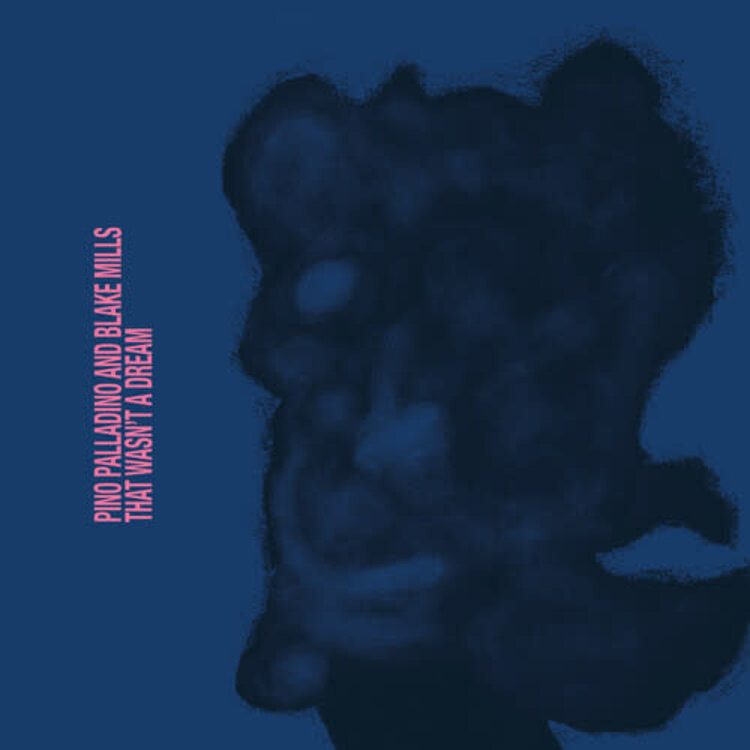 Palladino, Pino & Blake Mills - That Wasn't A Dream LP