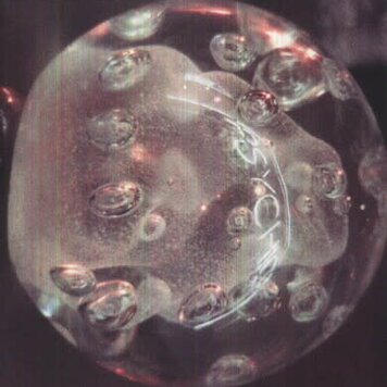 Matador Darkside - Psychic 2LP