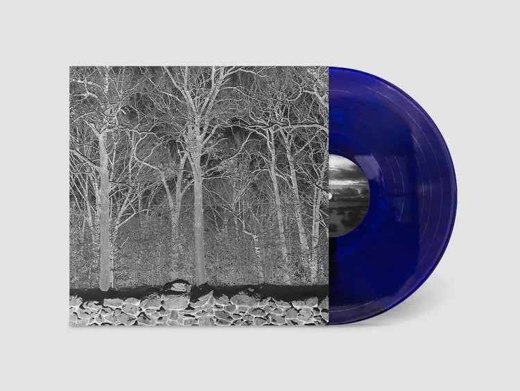 Sooper Pile - Sunshine & Balance Beams LP (purple vinyl)