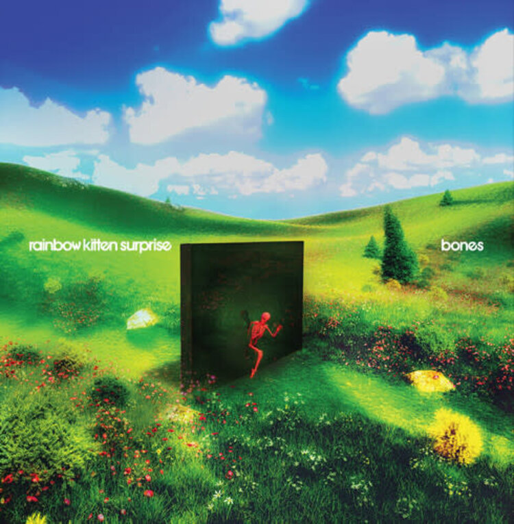 Rainbow Kitten Surprise - Bones LP (yellow vinyl)