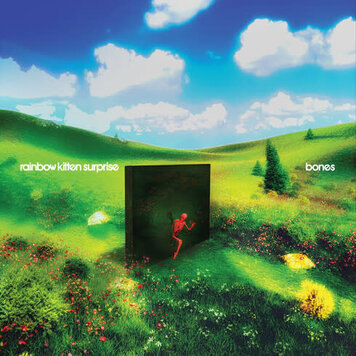 Rainbow Kitten Surprise - Bones LP
