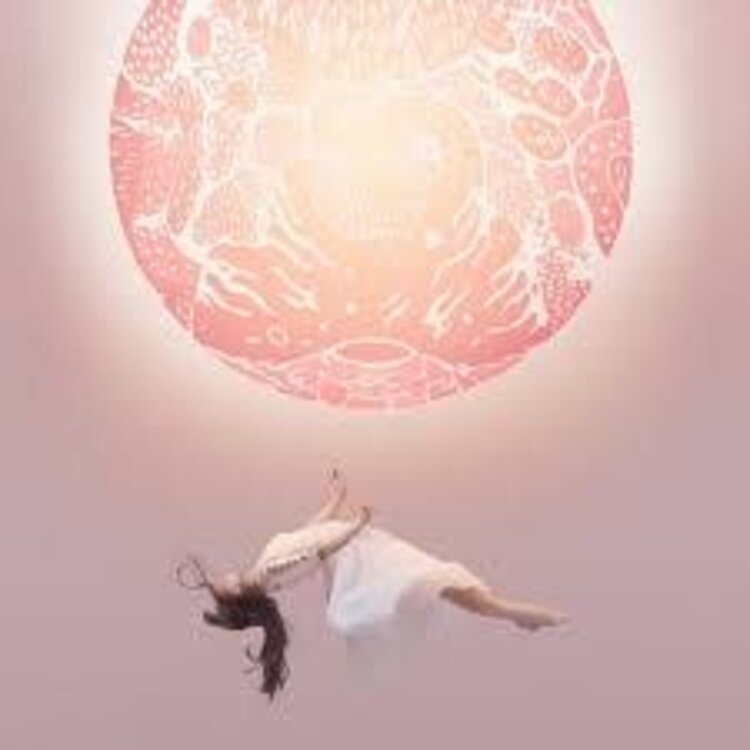 4AD Purity Ring - Another Eternity LP