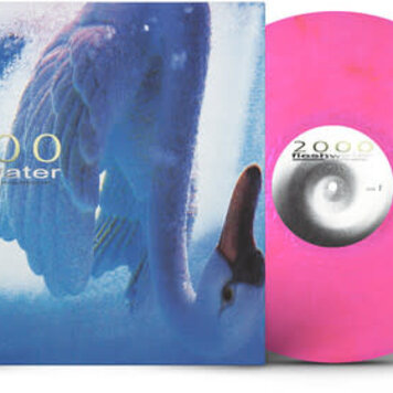 Closed Casket Activities Fleshwater - 2000: In Search Of The Endless Sky LP (indie exclusive pink vinyl)