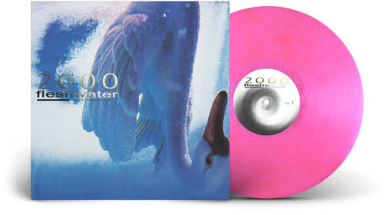 Closed Casket Activities Fleshwater - 2000: In Search Of The Endless Sky LP (indie exclusive pink vinyl)