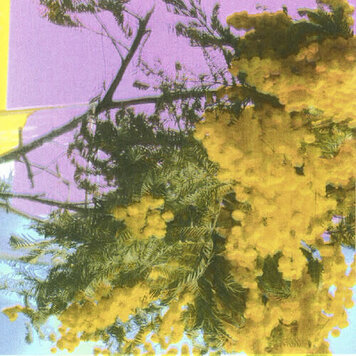 XL Recordings Four Tet -  Into Dust (Still Falling) 12"