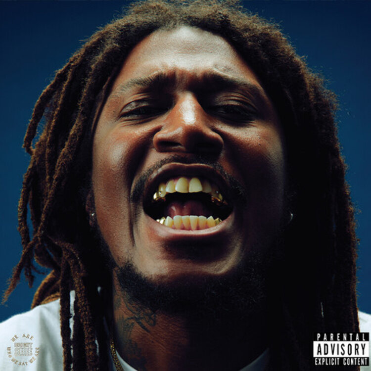 Amirsaysnothing - We are Who we Say we are LP