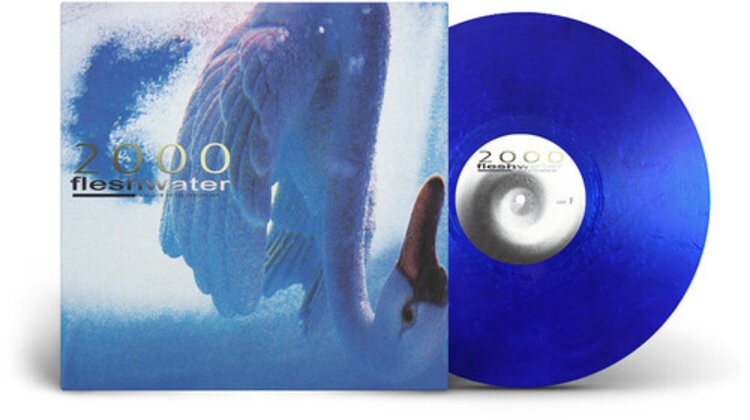 Closed Casket Activities Fleshwater - 2000: In Search of the Endless Sky LP (blue vinyl)