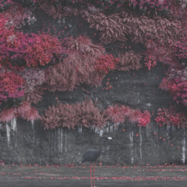 RCA Sleep Token - Even in Arcadia 2LP (blended lapis lazul vinyl)