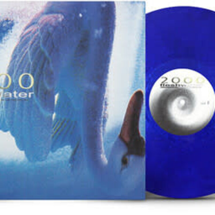 Closed Casket Activities Fleshwater - 2000: In Search of the Endless Sky LP (blue vinyl)