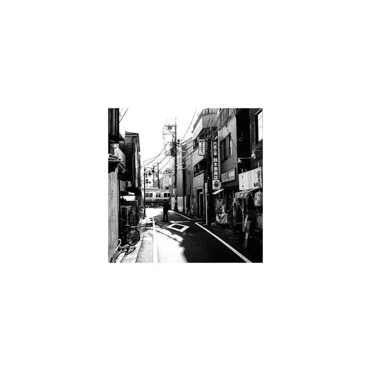 MELTING POT MUSIC Flofilz - Hagaki LP