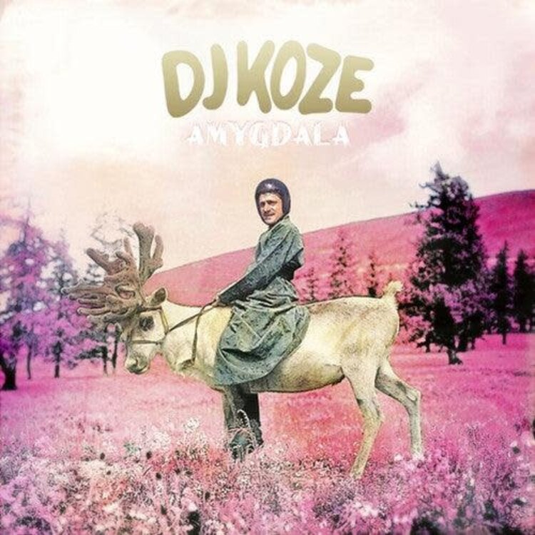 Pampa DJ Koze - Amygdala 2LP
