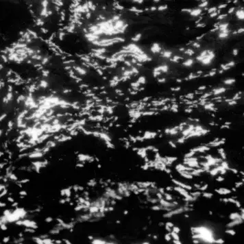 Kranky Grouper - AIA: Dream Loss LP