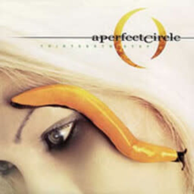 Virgin A Perfect Circle - Thirteenth Step LP