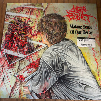 Among the Bodies - Making Sense of Our Decay LP