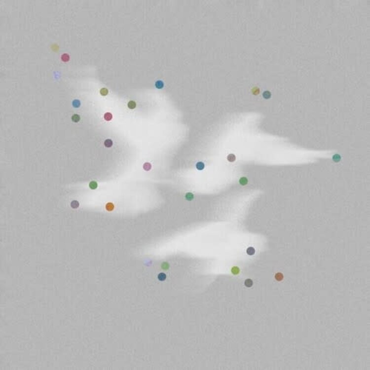 Godblesscomputers - Fade News LP