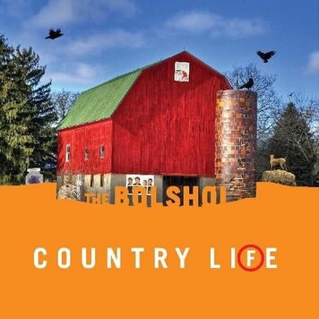 Bolshoi, The - Country Life 2LP green & orange vinyl)