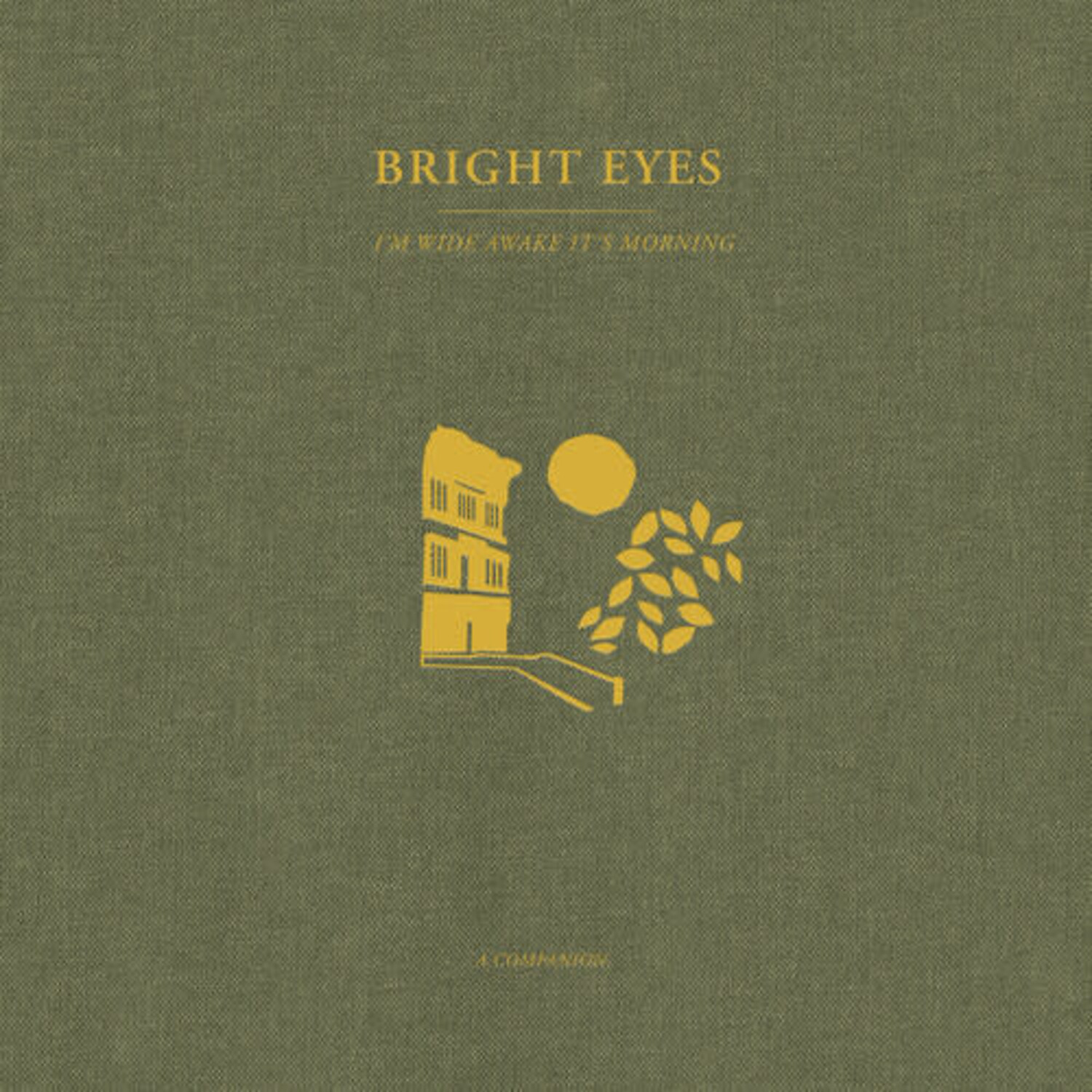 Bright Eyes - I'm Wide Awake, It's Morning: A Companion 12