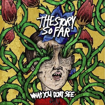 Pre-Order - Story So Far - What You Don't See LP