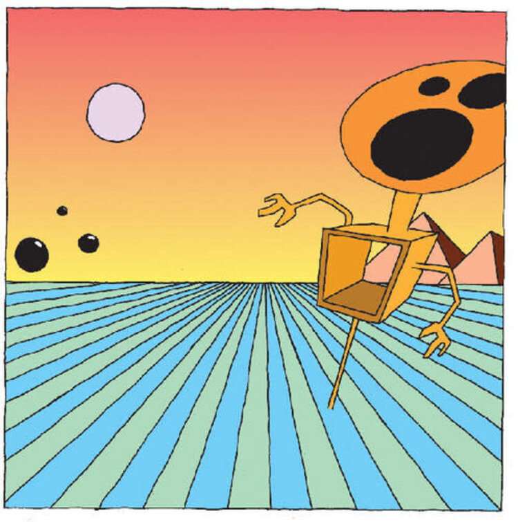 Pre-Order - Dismemberment Plan, The - Emergency & I LP (ORANGE vinyl)