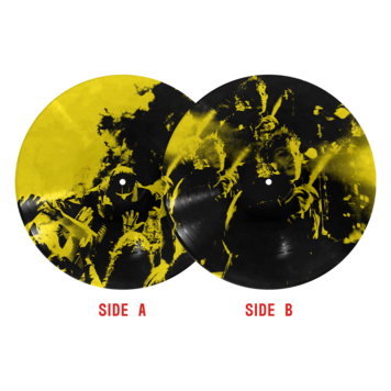 Fueled By Ramen Twenty One Pilots - Breach LP (EXALT picture disc)