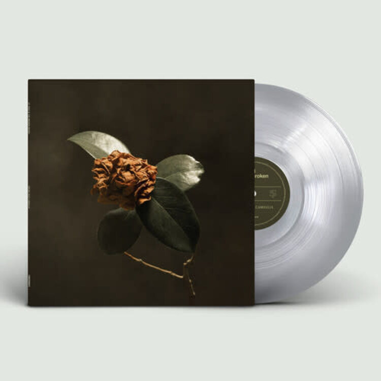 Records, LLC St. Paul & The Broken Bones - Young Sick Camellia LP (clear silver vvinyl)