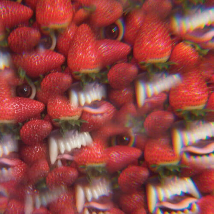 Oh Sees - Floating Coffin LP