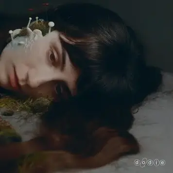 Dodie - Not for Lack of Trying LP