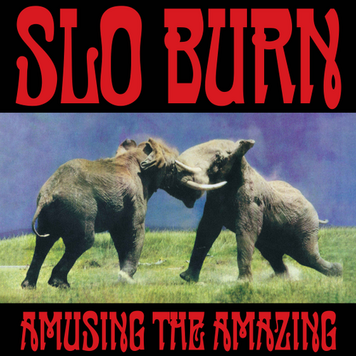 Org Music Slo Burn - Amusing the Amazing LP (RSD BF '25)