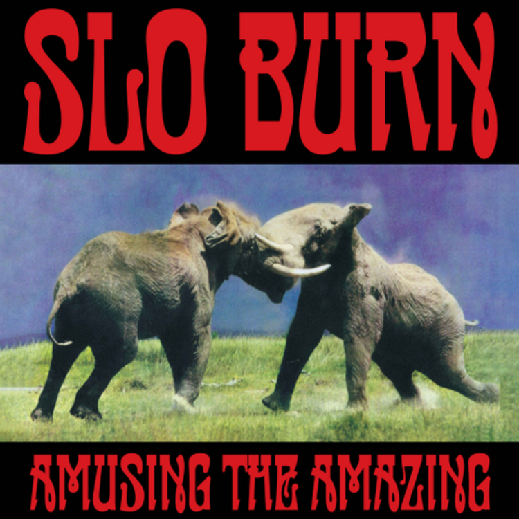 Org Music Slo Burn - Amusing the Amazing LP (RSD BF '25)