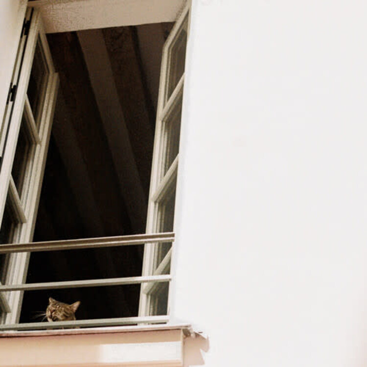 Mhaol - Something Soft LP