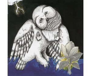 Songs Ohia The Magnolia Electric Co レコード secretly-canadian-songs-ohia-