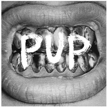 SideOneDummy Records Pup - (self-titled) LP