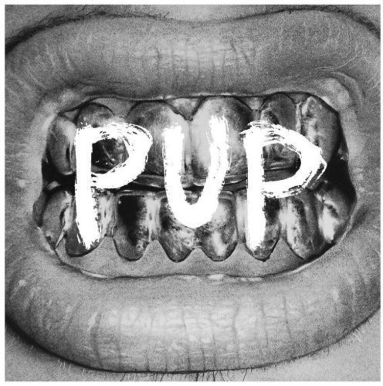 SideOneDummy Records Pup - (self-titled) LP