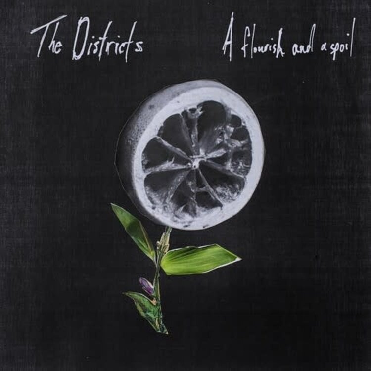 Districts, The - A Flourish and a Spoil LP