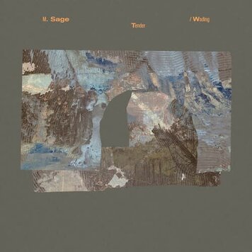 RVNG Intl Sage, M. - Tender / Wading LP
