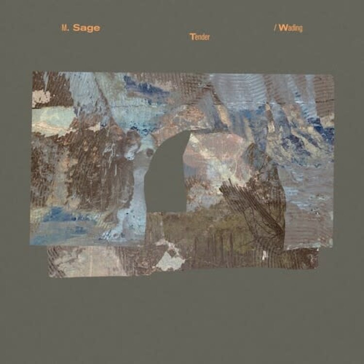 RVNG Intl Sage, M. - Tender / Wading LP