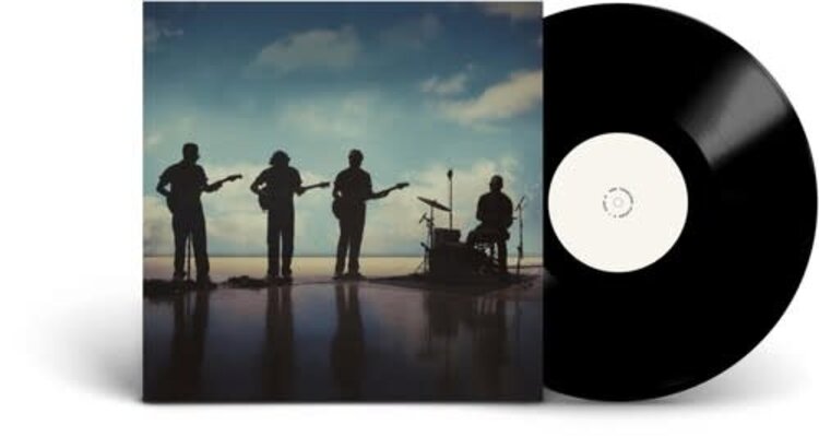 Diggers Factory Fearless Flyers, The - V LP