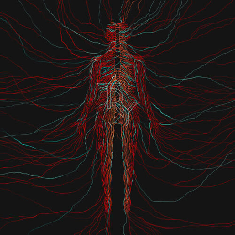 Try - (self-titled) LP