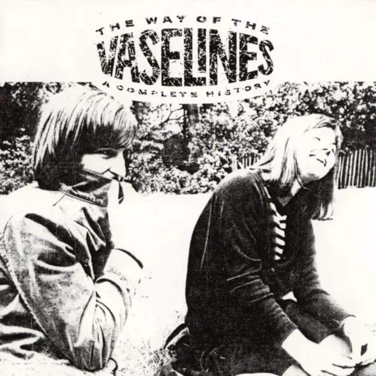 Sub Pop Vaselines, The - The Way of the Vaselines 2LP