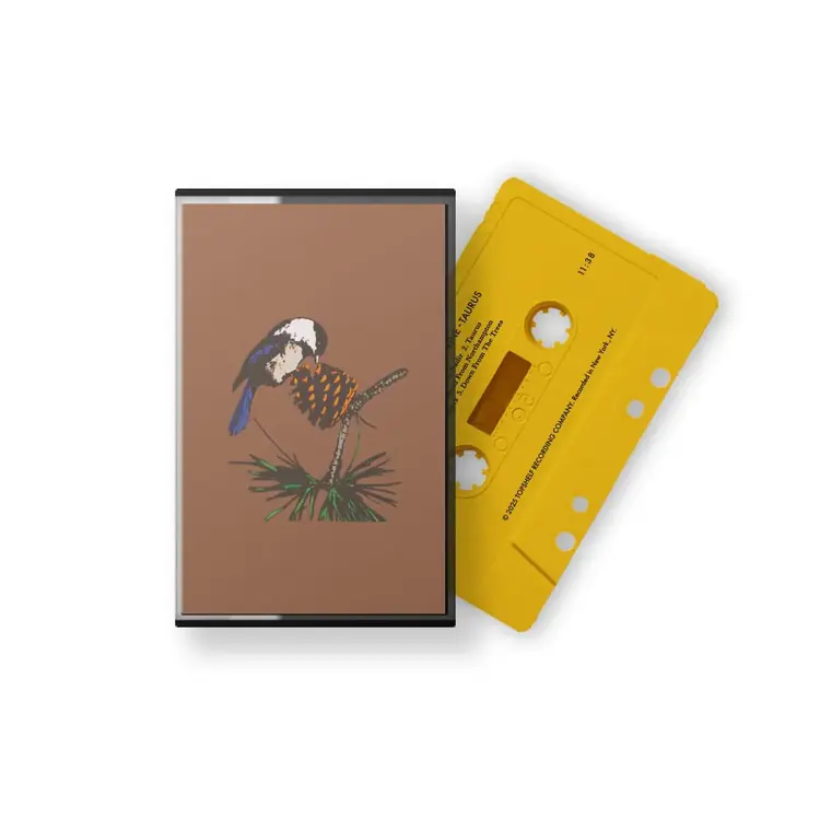 Topshelf Records Peel Dream Magazine - Taurus CASSETTE