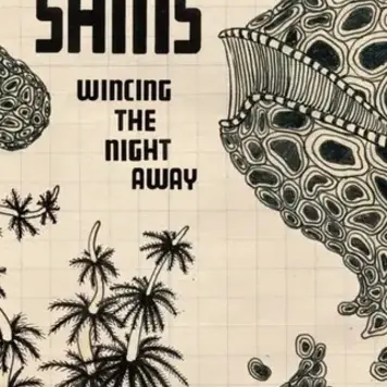 Sub Pop Shins, The - Wincing the Night Away CASSETTE