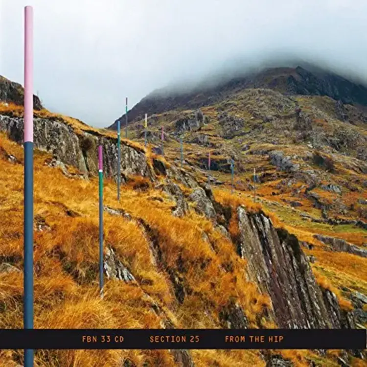 FACTORY BENELUX Section 25 - From the Hip 3LP (dlx color vinyl)