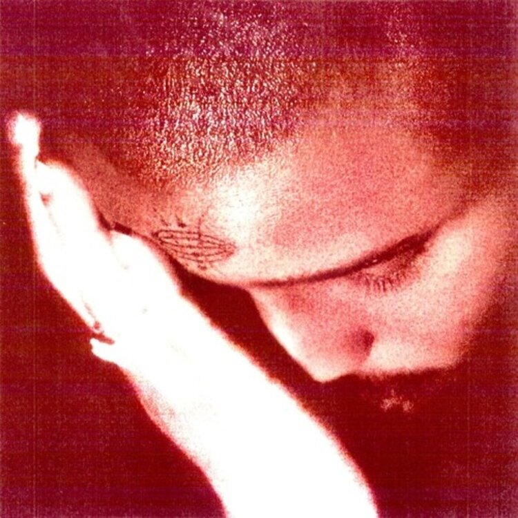 XL Recordings Nourished by Time - The Passionate Ones LP