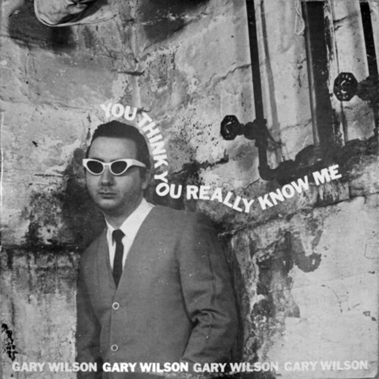 Feeding Tube Wilson, Gary - You Think You Really Know Me LP