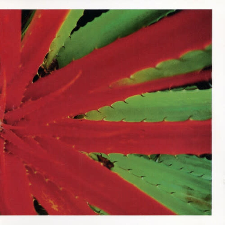 Jejune - This Afternoons Malady LP