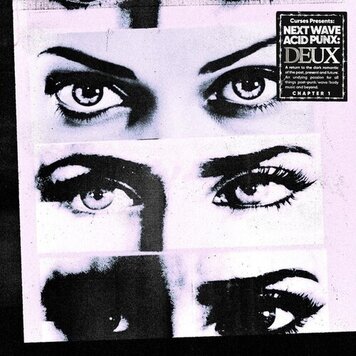 Various - Next Wave Acid Punx: Deaux Chapter 2 LP