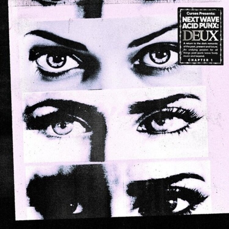 Various - Next Wave Acid Punx: Deaux Chapter 2 LP