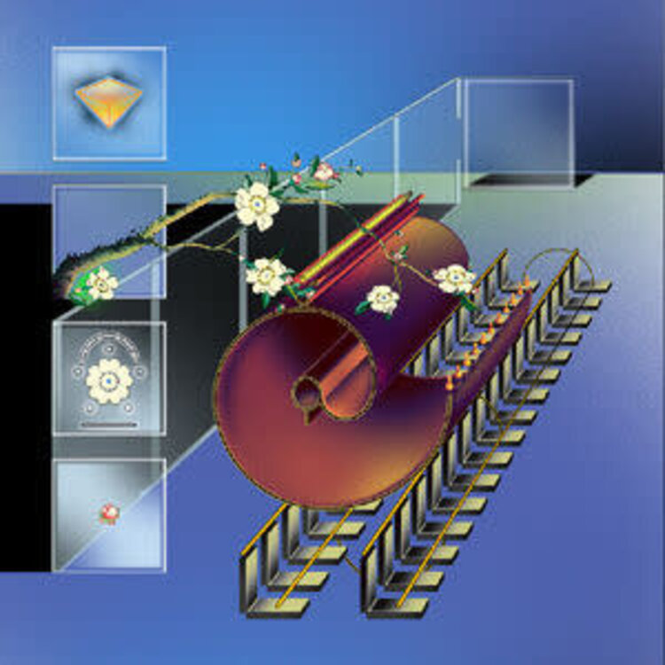 Carpark Records @ (At) - Mind Palace Music LP (blue/white vinyl)