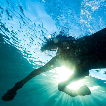 Marshall Records Dream Nails - You Wish LP